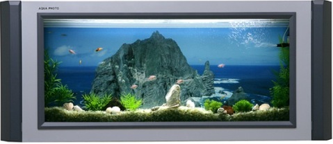 aqua-photo-aquarium-1.jpg