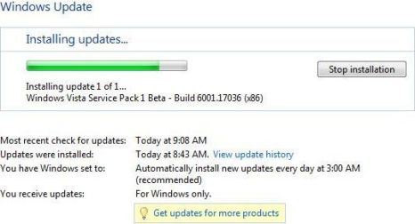 Install Vista SP1 via Windows Update