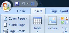 Insert Option in Office 2007
