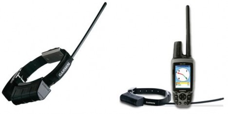 Garmin DC30 and Astro 220 Receiver