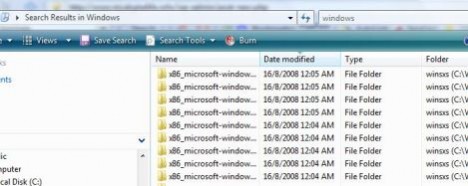 Automatically Search Folder in Windows Vista