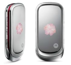 motorola-pebl-rose-bloom