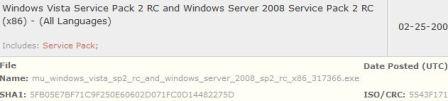 32-bit Windows Vista and Windows Server 2008 SP2 RC