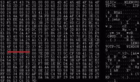 SLIC 2.0 Table in BIOS