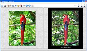 FotoSketcher1