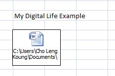 Inserted File in Excel Worksheet