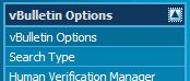 vBulletin Options
