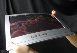 Bridget_EReader