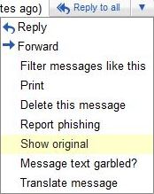 Show Original Email Content
