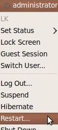 Reboot Guest OS