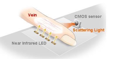 Finger-Vein-Authentication