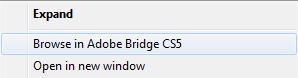 Browse in Adobe Bridge CS5