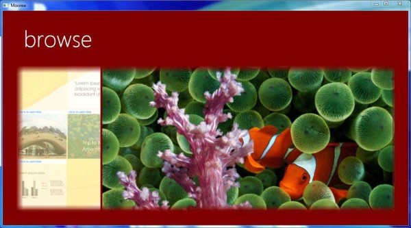 Moorea Montage or Collage Ideas (Templates or Examples)