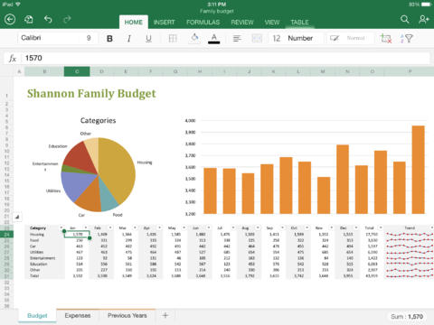 Excel for iPad