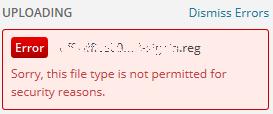 WordPress Upload Error