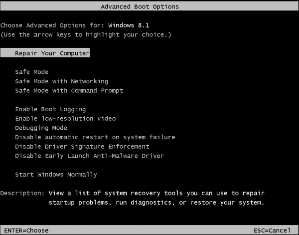 Windows 8 Advanced Boot Options